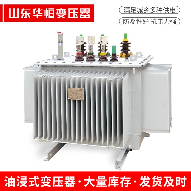 S13-10000/35前郭前郭前郭电力变压器